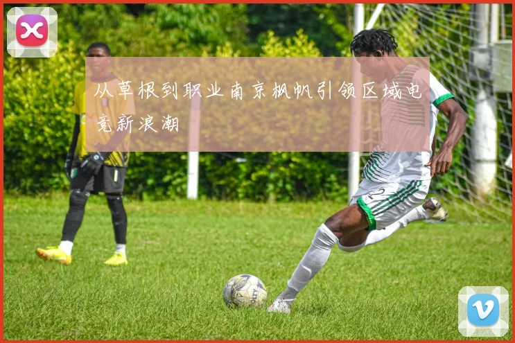 从草根到职业南京枫帆引领区域电竞新浪潮
