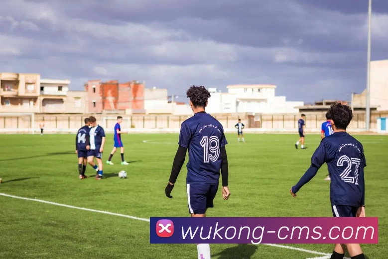 悟空官网平台生态图